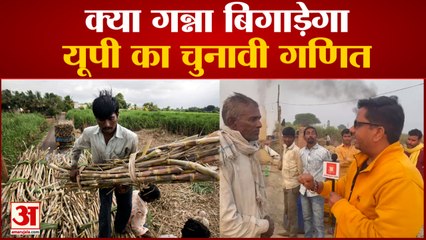 UP News : Lakhimpur के गन्ना किसान सरकार से नाराज |  कौड़ियों के दाम फसल बेचने को मजबूर
