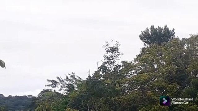 Embraer 195 PR-AUQ na aproximação final antes de pousar em Manaus vindo de Boa Vista