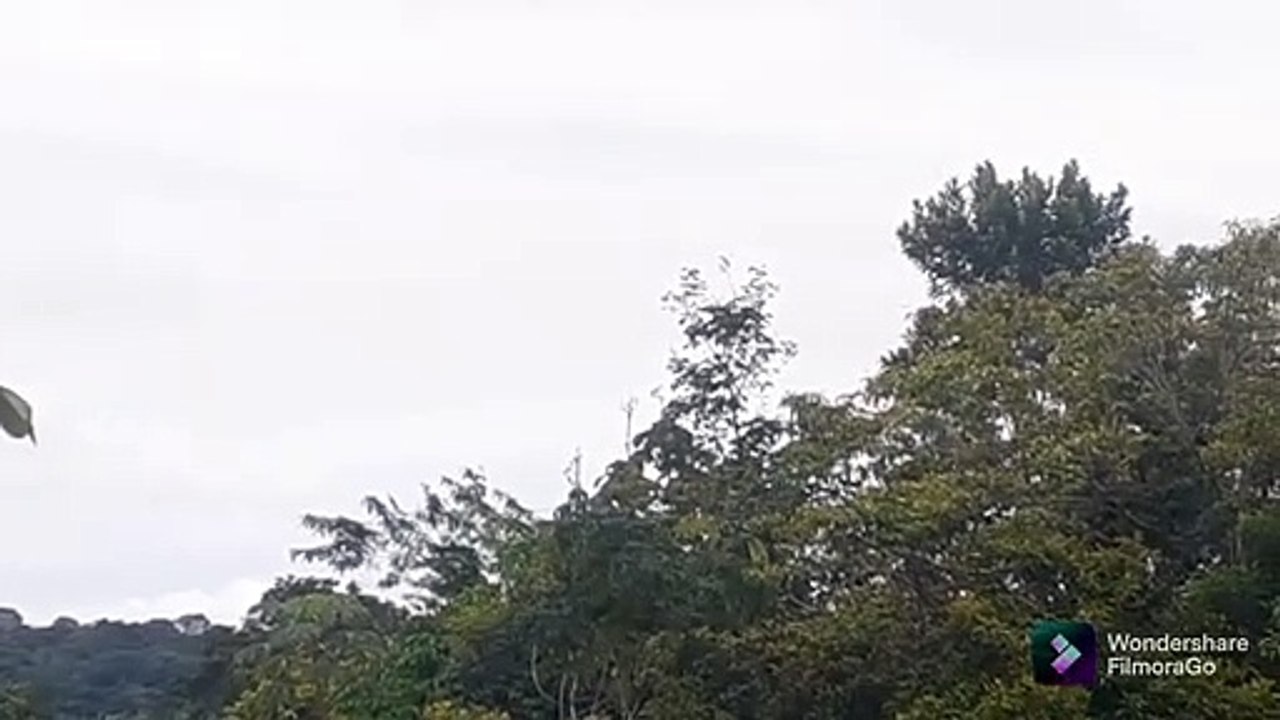 Embraer 195 PR-AUQ na aproximação final antes de pousar em Manaus vindo de Boa Vista