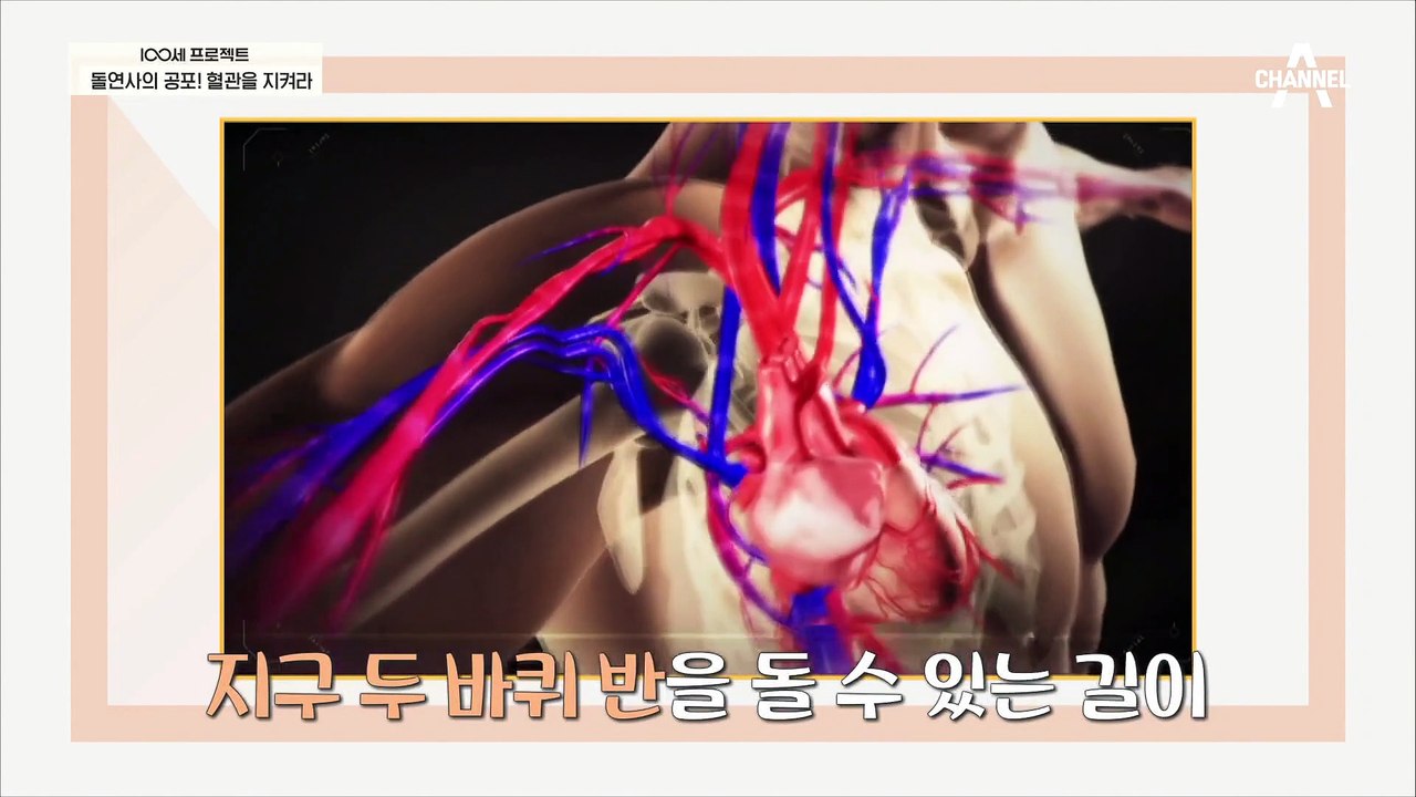 발목 각도로 혈관 건강을 알 수 있다?! 혈관 건강 자가 진단법!