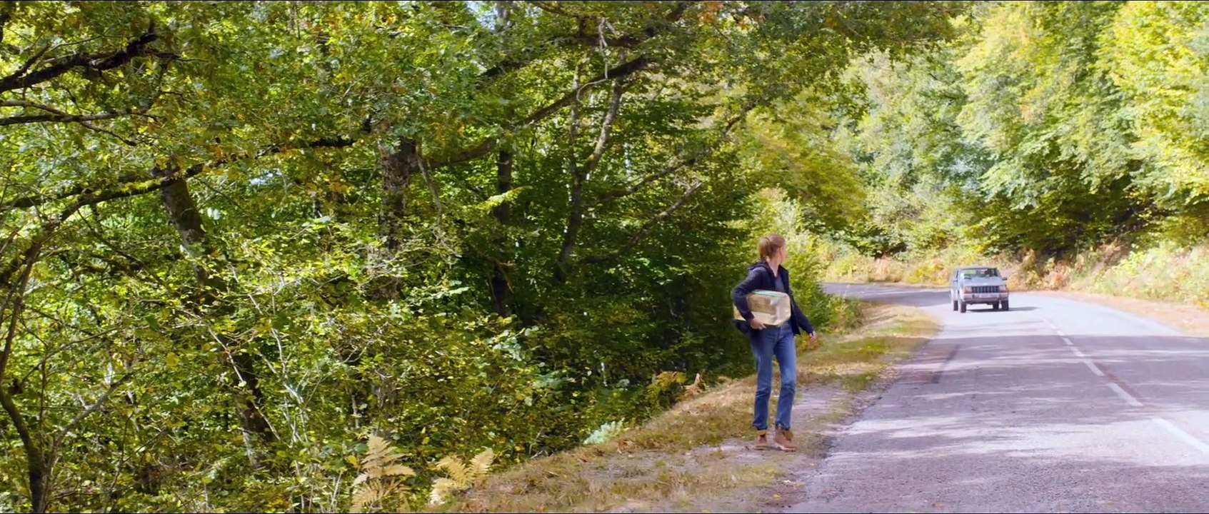 PLÖTZLICH AUFS LAND EINE TIERÄRZTIN IM BURGUND Film
