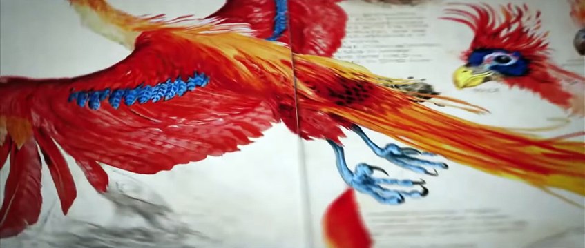 Phantastische Tierwesen Dumbledores Geheimnisse Wizarding World