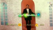 Taron Ka Chamakta Gehna ❤ Salman Khan  Madhuri Dixit  ❤  Video Song Status