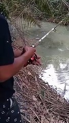 inilah spot yang dicari cari para Mancing mania Sambarannya bikin melek