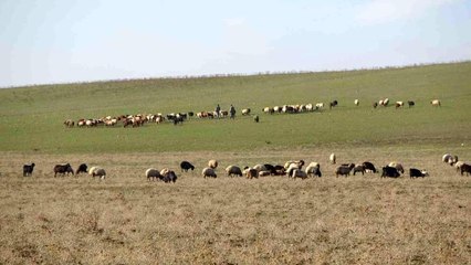Sıcak hava besicileri sevindiriyor