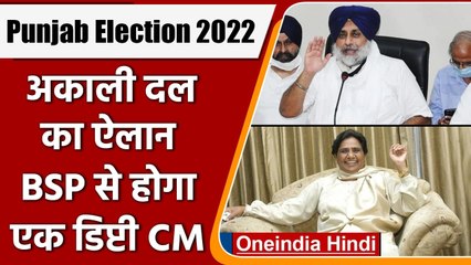 Tải video: Punjab Election 2022: Sukhbir Badal बोले- सत्ता में आए तो BSP से होगा एक Deputy CM | वनइंडिया हिंदी