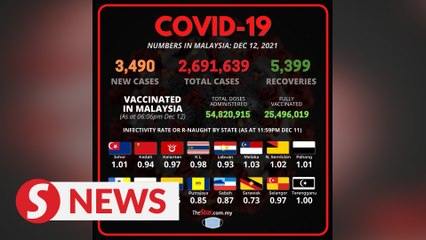 Covid-19: Daily cases drop below 4,000 for the first time since May