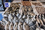 Trabzonlu balıkçıların tezgahlarını mezgit ve istavrit süslüyor