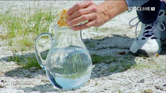 Les mystères de l'univers S04E09 - Univers liquides