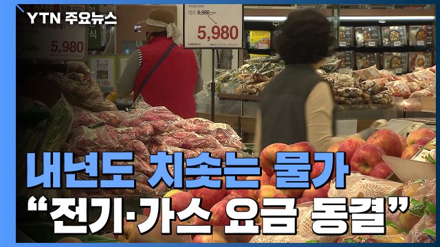 '연초 물가' 제압 나선 정부... 내년도 전기·가스 요금 동결 / YTN