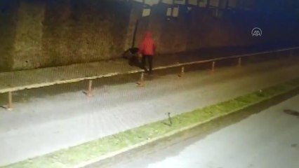 ZONGULDAK - Çalınan köpeklerini bulan çift, büyük sevinç yaşadı