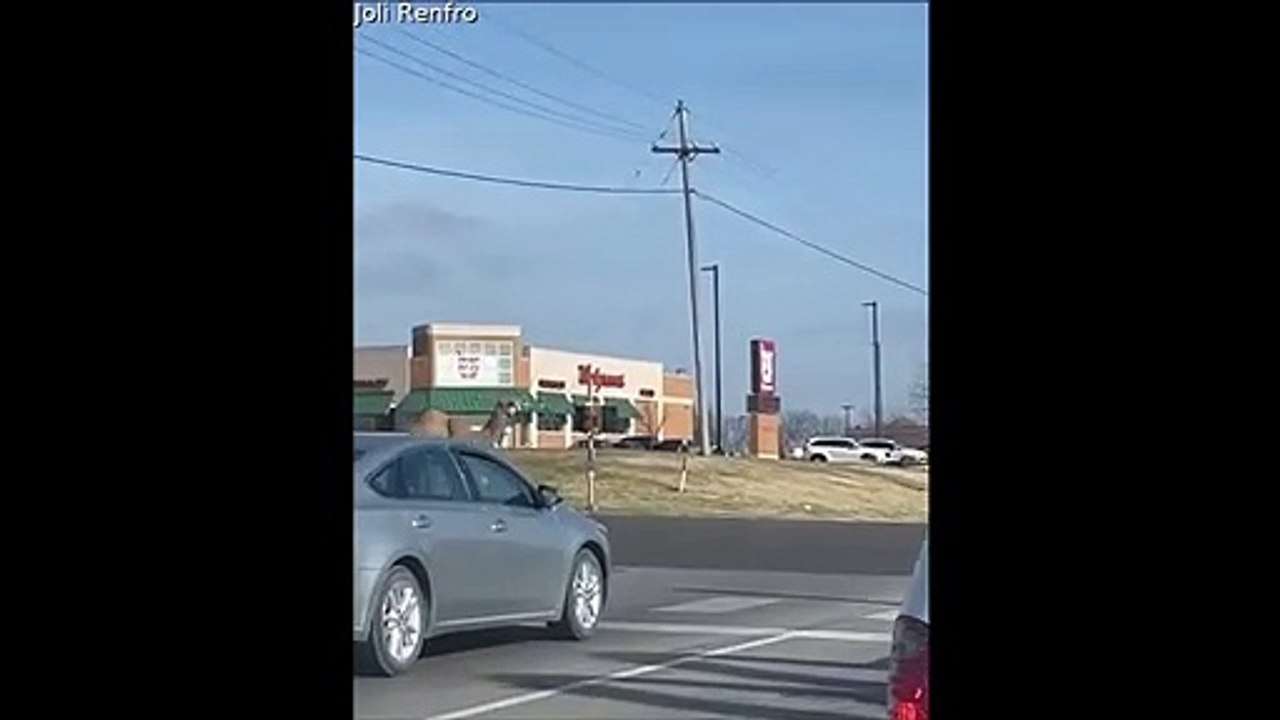 Regardez ce qu'on croise sur la route au Texas...