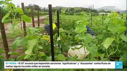 Nueva Caledonia votó abrumadoramente en contra de independizarse de Francia