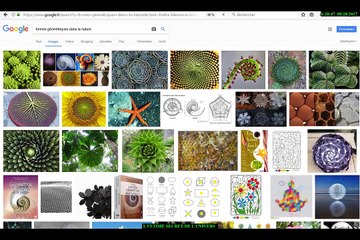 207.COMMENT RECONNAITRE LES MYSTERES DE LA NATURE ET SES SECRETS( 2eme PARTIE) SYNTHESE