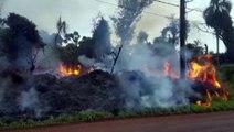 Bombeiros combatem incêndio em vegetação na Região da FAG