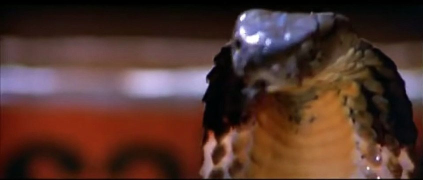 THE KILLER SNAKES Movie (1974) - Kwok-Leung Gan, Lin-Lin Li, Chun Chen