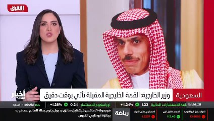 ...ناقش عدة قضايا لا سيما أمن المنطقة . وشد...
