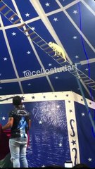 Circo usa cachorro em apresentação perigosa no Ceará e é notificado