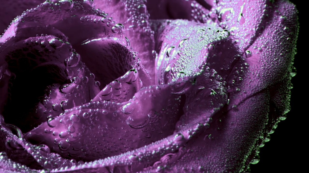 LG DEMO 4K: Art of Essence