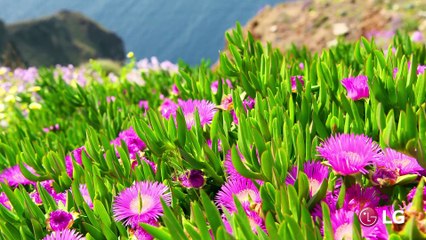 LG DEMO 4K: Santorini