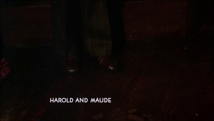 Harold And Maude (1971) - Doblaje latino