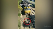 Viral! Detik-detik Seorang Pria Selamatkan Anjing Nyaris Tertabrak Kereta