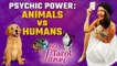 Daily Tarot Card Reading : Is Animal Psychic Power Capable of Predicting the Future? | Oneindia News