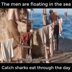 The Men are floating in the sea. Catch sharks eat trough the day