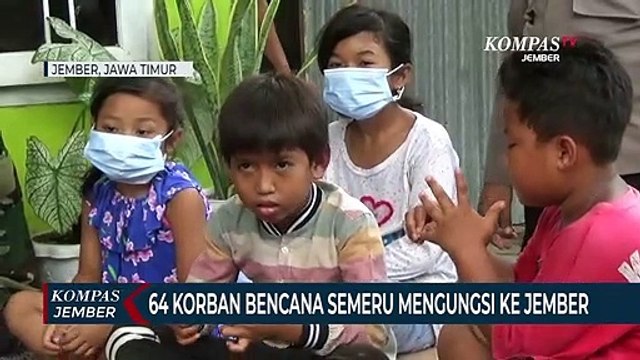 64 Korban Bencana Gunung Semeru Mengungsi di 2 Kecamatan di Jember