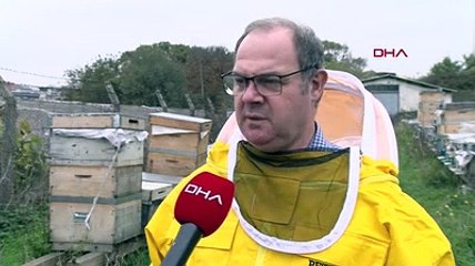 Arılar ölüyor, bal üretimi düşüyor!