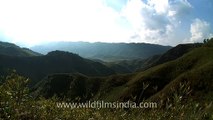Astounding scenery of Dzukou valley, Nagaland