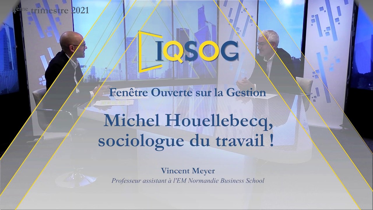 Michel Houellebecq, sociologue du travail !  [Vincent Meyer]