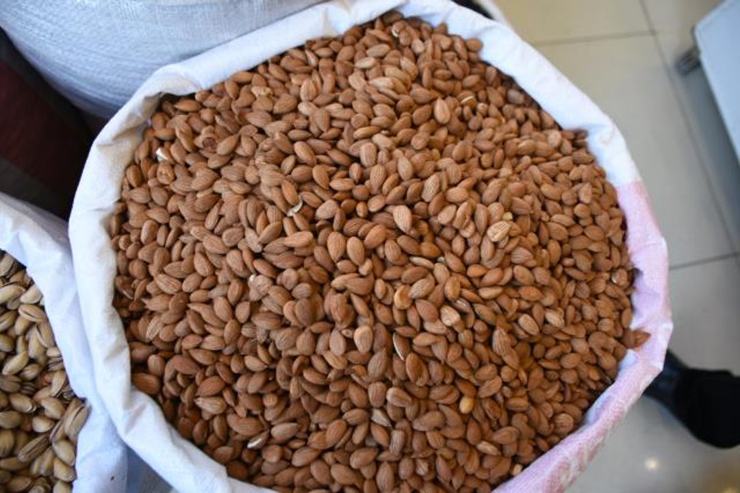 Tescilli kayısı çekirdeği ihracatından 11 ayda 14,9 milyon dolar gelir sağlandı