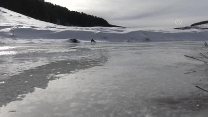 Soğuk hava ve kızak keyfi