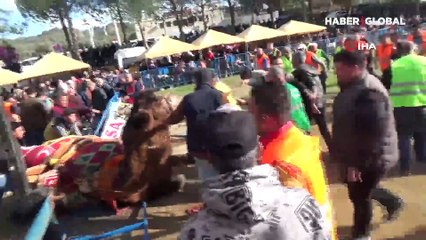 Aydın'da arenaya sığmayan develer, ortalığı savaş alanına çevirdi