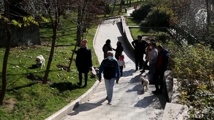 İran'da hayvanseverler evde kedi ve köpek bakımını yasaklayan yasa tasarısına tepkili