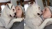 ''Personal Space? Never heard of her' Clingy dog's cute attention-grabbing tactic caught on camera '