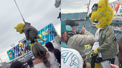 'Jacksonville Jaguars' mascot stuck mid-air following failed attempt to bungee jump'