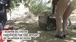 Somaliland, lo Stato non riconosciuto che lotta contro la tratta dei cuccioli di ghepardo
