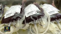 tn7-banco-nacional-de-sangre-pide-donaciones-131221
