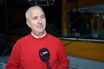 Bilim adamından 'hamsi' için çağrı: "Karadeniz ülkeleri acilen sürdürülebilir avcılığını sağlamalıdır"