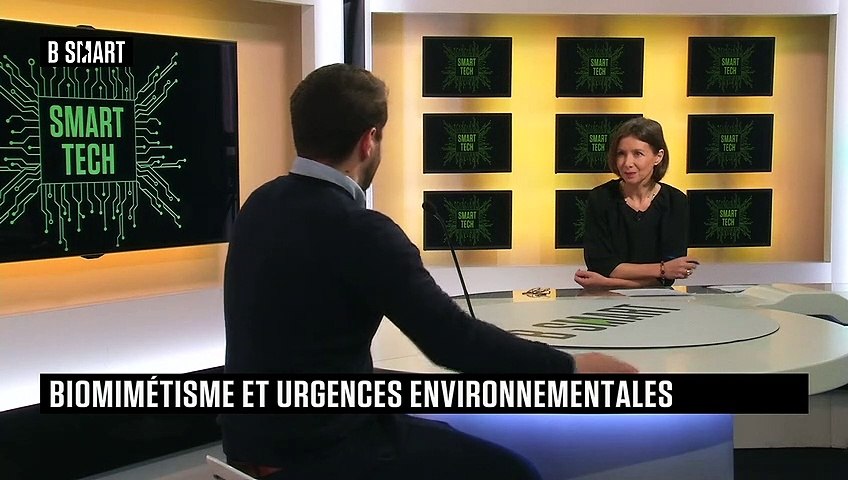 Biomimétisme et urgences environnementales 