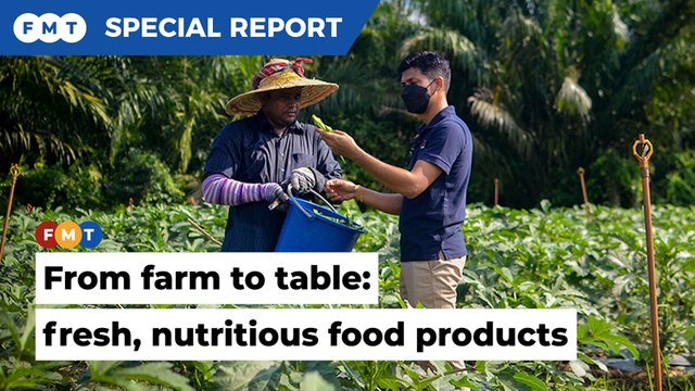 Fama: helping farmers move their products from farm to table