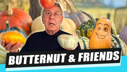 BUTTERNUT, POTIMARRON... C'EST LA SAISON !