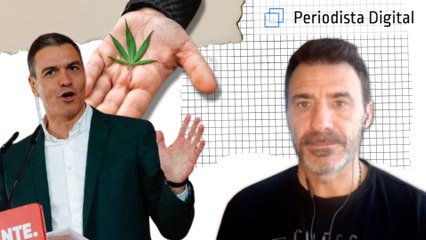 Alfredo Perdiguero: “Es terrible, España es el primer exportador de Europa de marihuana”