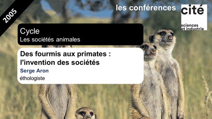 Des fourmis aux primates : l'invention des sociétés