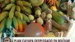 Entérate | A través del Plan Cayapa fueron beneficiadas 1.200 familias en Bolívar