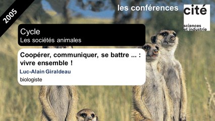 Coopérer, communiquer, se battre ... : vivre ensemble !