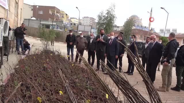 Şırnak'ta çiftçilere 108 bin adet meyve fidanı dağıtıldı