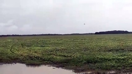 Les ailes d'un avion monoplace se brisent en vol